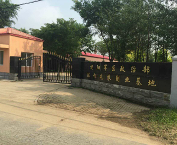 沈陽軍區政治部陳相屯農副業基地